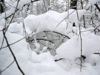 ветви в снегу